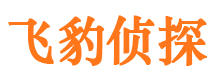 新乡市婚外情取证